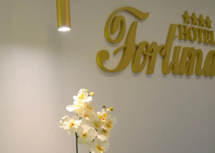 Fortuna Hotel 4*