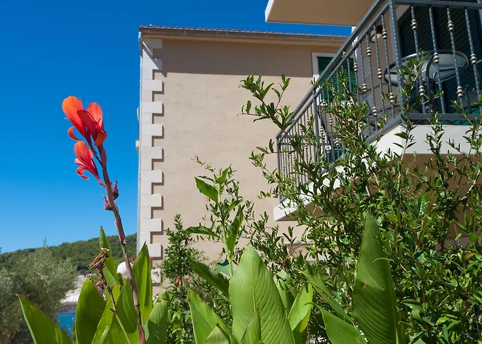 Fortuna Hotel